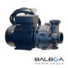 Balboa Pumps