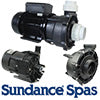 Sundance Spas Pumps and Parts