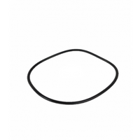 Davey Spa-Quip Series 2000/Easy Clear/EcoPure Filter Lid O’ring.