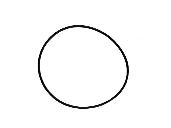 O’RING: QB/LX/XS Pump Body